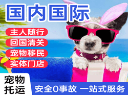 桂林机场空运国际宠物托运 【国